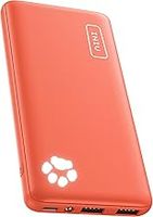 Apple Power Bank
