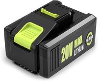 Worx 20V