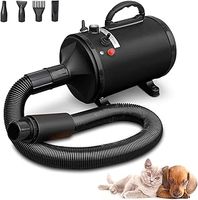 Car Blower Dryer