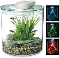 Remote Control Tank