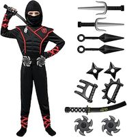 Spy Ninja