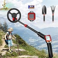 Metal Detector