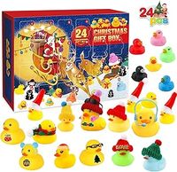 Playmobil Advent Calendar