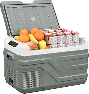 Camping Fridge