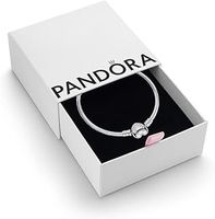 Pandora Bracelet Charms
