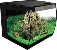 Fish Tank With Stand
