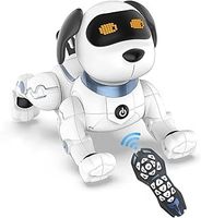 Robot Dog