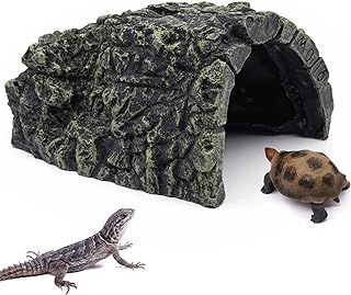 Tortoise House