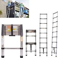 Telescopic Ladder