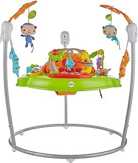Baby Bouncer