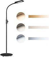 Floor Reading Lamp