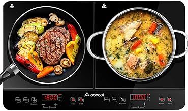 Portable Induction Hob