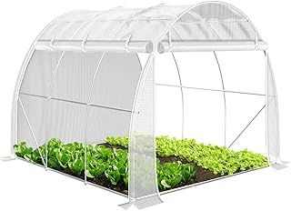 Polytunnel Greenhouse