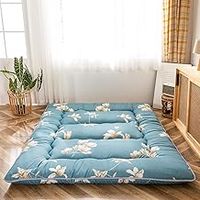 Futon Mattress