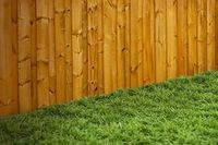 Astro Turf