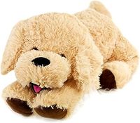Toy Dog