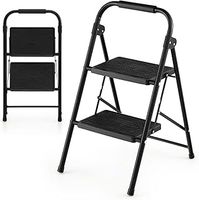 2 Step Ladder