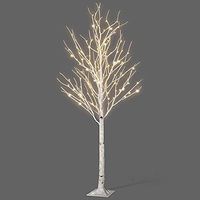 Outdoor Christmas Tree