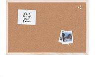 Pin Board Large