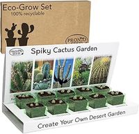 Terrarium Kit With Plants