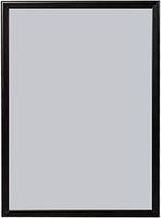 A1 Frame
