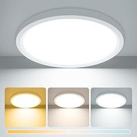 Ceiling Light