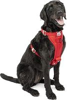 Safety Harness