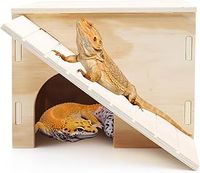 Bearded Dragon Vivarium