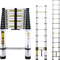 Telescopic Ladder 3.8M