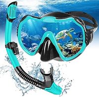 Snorkel Mask