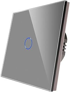 CNBINGO Single Dimmer Switch for LED Lights, Grey Touch Light Switch, No Neutral Wire Required, Tempered Glass Panel with LED Backlight, 1-Gang 1-Way, AC 240V 500W
