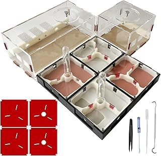 Ants Footsteps Ant Farm Nest Science DIY Terrarium Kit Care for Live Ants Ant Habitat with Water Tower Nurturing Room and Comprehensive Observation-Set 5