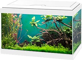 Aqua 20 Classic Aquarium Fish Tank - White