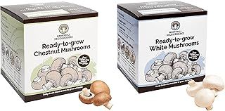 Fresh Chestnut And White Mushroom Growing Kits | Gardening Gifts for Women, Men & Kids | Grow Your Own Kits | Delicious to Eat | Mushroom Gifts (Chestnut And White Mushroom Kit)