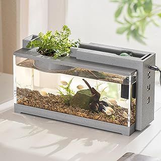 Retro Quiet Desktop Betta Fish Tank - Aquarium Starter Kit With Air Pump - Transparent Small Aquarium For Fish, Shrimp, Goldfish