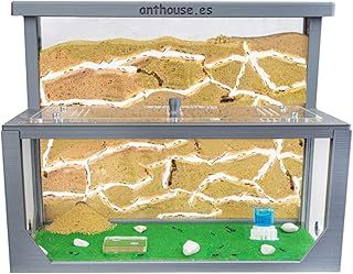 AntHouse - Natural Sand Ant Farm | Kit L (Sandwich + Forage Box) | 3D Ant Hill | Colour Grey