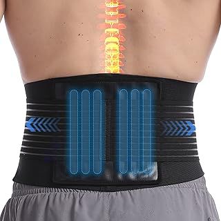 Paskyee Lower Back Support Belt with 6 Stays, Back Brace for Scoliosis & Sciatica and Back Pain Relief, Lumbar Support Belt for Men and Women, Adjustable Lower Back Support Brace with PU