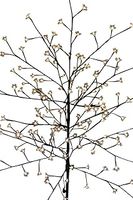 Light Up Christmas Cherry Tree 1.8M Tall With 180 Warm White Low Voltage LED Lights with Transformer - NOW REDUCED!!