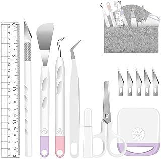 Vinyl Weeding Tools, Craft Weeding Tools Set+ 1 Piece Storage Bag, DIY Craft Tool Set, Cameos, Lettering, Including Weeding Hooks, Tweezers, spatulas for Silhouette (Mixed Color)