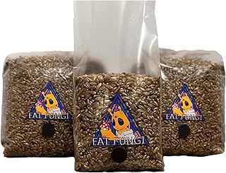 Grain Spawn Bag - 750g Sterilized Organic Rye - Grow Mushroom Kit - Unicorn Bags…