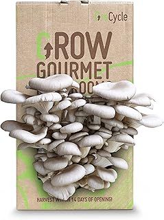 GroCycle Oyster Mushroom Growing Kit | Mushroom Grow Kit | Gardening Gifts for Women, Men & Kids | Grow Your Own Kits | Fun to Grow & Delicious to Eat | Oyster Mushroom Grow Kit | Mushroom Gifts