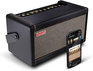 Positive Grid Spark Guitar Amplifier, Electric, Bass and Acoustic Guitar 40-Watt Combo Amp, Mobile App (Spark Black)