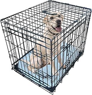 Ellie-Bo Black Deluxe Medium 30-inch Folding 2-Door Dog Cage/Crate with Metal Tray and Dog Bed Mat