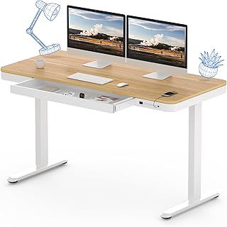 FLEXISPOT Comhar EW8M Electric Standing Desk, Home Office Electric Height Adjustable Sit-Stand Desk 120 * 60cm Maple Top with Drawer & Fast USB Chargers (White Frame+Maple Top)