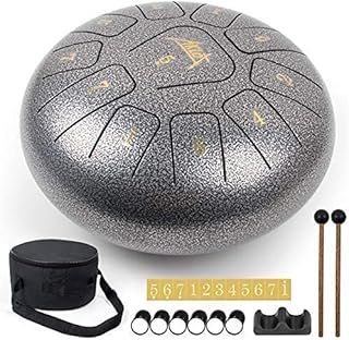 AKLOT Steel Tongue Drum10 inch 11 Notes Tank Drum C Key Percussion Steel Drum Kit with Drum Mallets Note Stickers Finger Picks Mallet Bracket and Gig Bag