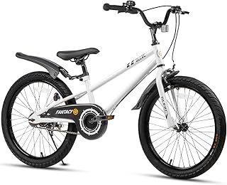 Fantacy 12 14 16 18 20 Inch Kids Bike for 2-14 Years Old Boys Girls with Water Bottle Holder & Stabilisers, Multiple Colors
