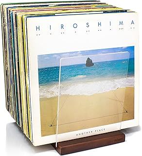 MÖNKE Premium Vinyl Record Storage - a Mid-Century Style Record Holder, 60 LP Capacity - Complements Any Decor (Brown)