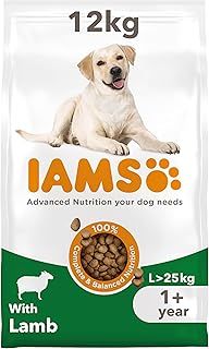 IAMS Complete Dry Dog Food for Adult 1+ Large Breeds with Lamb 12 kg