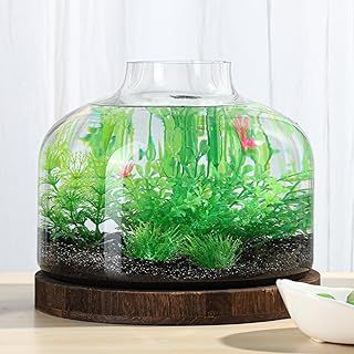 PONDON 2 Gallon Fish Bowl Vase, Glass Plant Terrarium Kit, Complete with Wooden Base and Water Changer