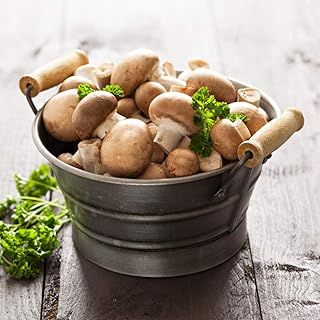 Windowsill Mushroom Growing Kit - Brown Mushroom Gift Wrapped Easy to Grow Your Own Mushrooms at Home by Thompson & Morgan